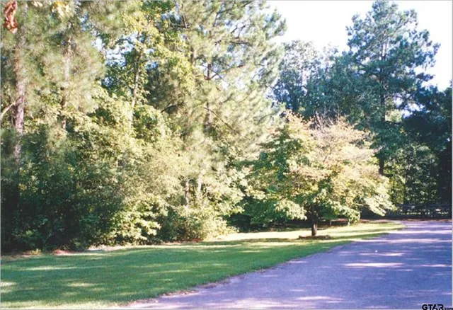 a backyard of a house with lots of green space and plants