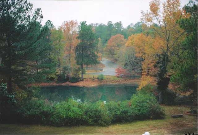 a view of a golf course with a lake