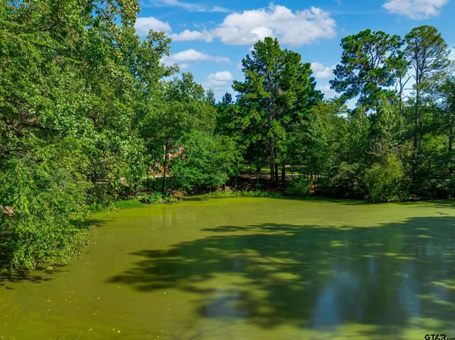 $999,999 | 2900 South Robertson Avenue, Tyler, TX 75701