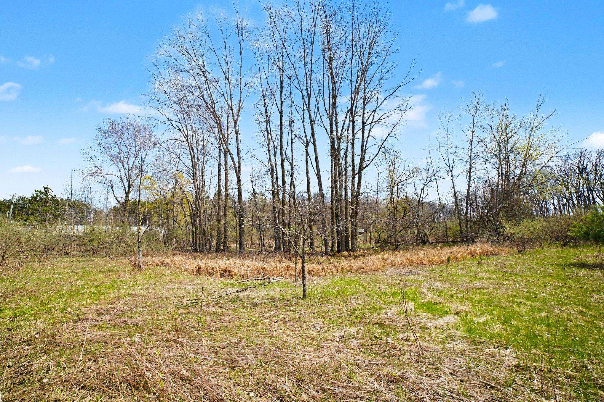 Tbd North Crystal Road Vestaburg, MI 48891 - Photo 4 of 21
