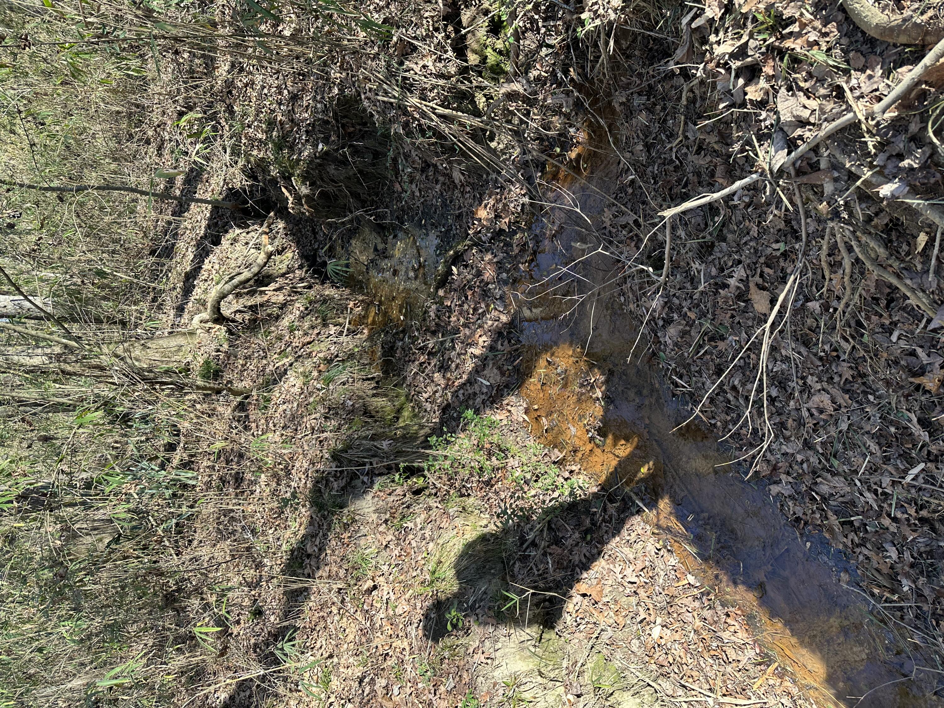 110 Vanna Lane Waynesboro, GA 30830 - Photo 3 of 3 IMG_3974