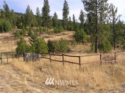 -xxx Stagecoach Trail Riverside, WA 98849 - Photo 1 of 1 Gallery Image 1