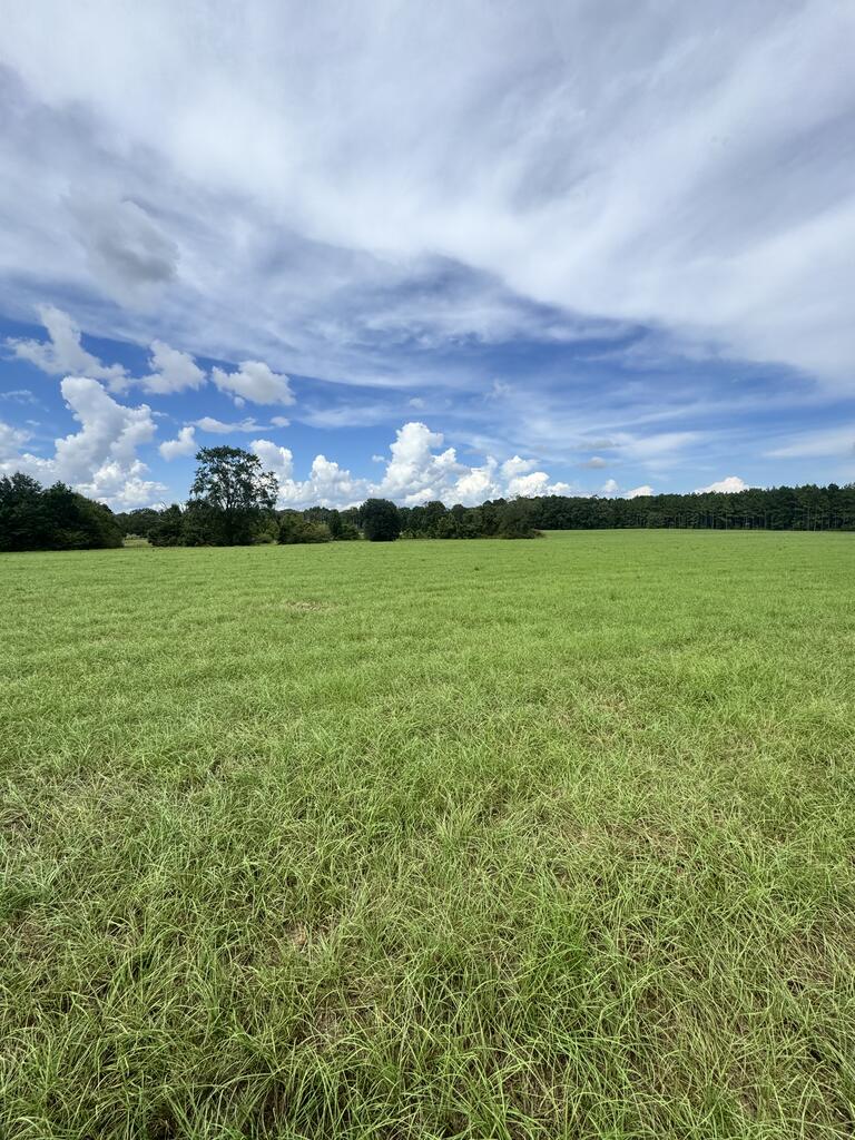 0 Cecil Varnum Road Dothan, AL 36301 - Photo 1 of 6 Gallery Image 1
