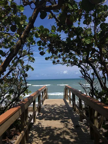 a view of a wooden bridge