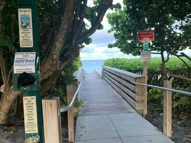 a view of beach and ocean