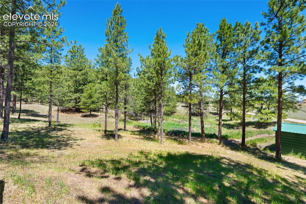 5463 High Park Road Florissant, CO 80816 - Photo 33 of 49