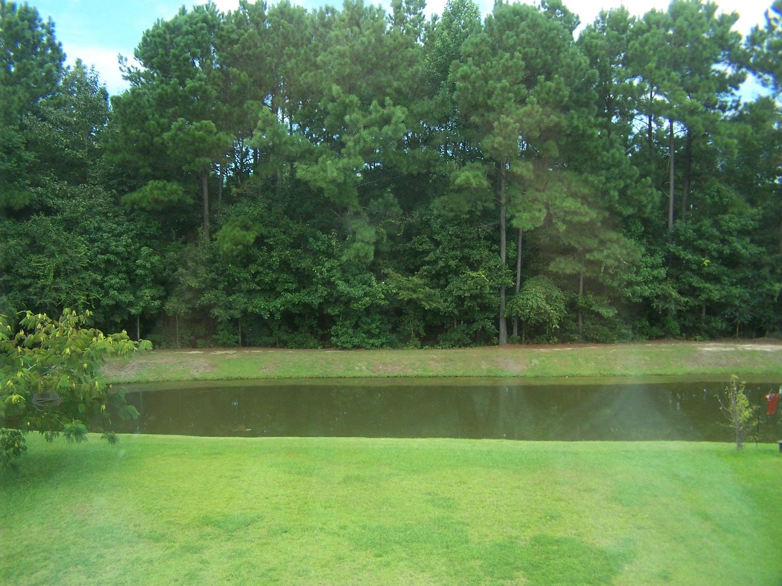 1020 Deerberry Road Goose Creek, SC 29445 - Photo 15 of 16 View from upstairs