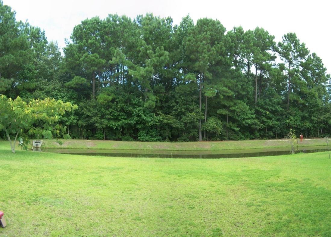1020 Deerberry Road Goose Creek, SC 29445 - Photo 16 of 16 Lots of room in the backyard