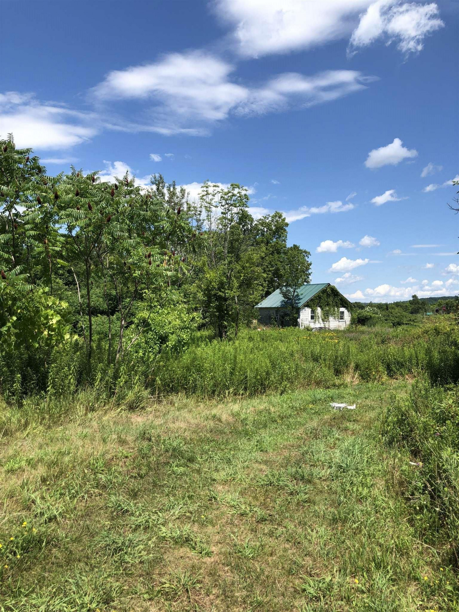 911 Palmer Road Claverack, NY 12521 - Photo 15 of 18 Photo 15