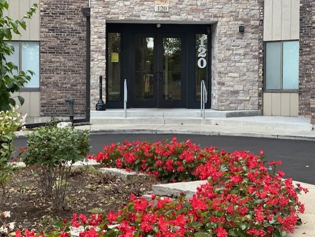 a view of a bunch of flowers