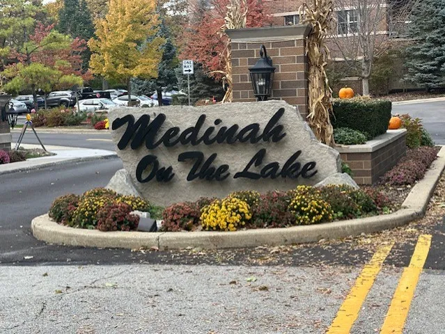 a view of a yard with cars