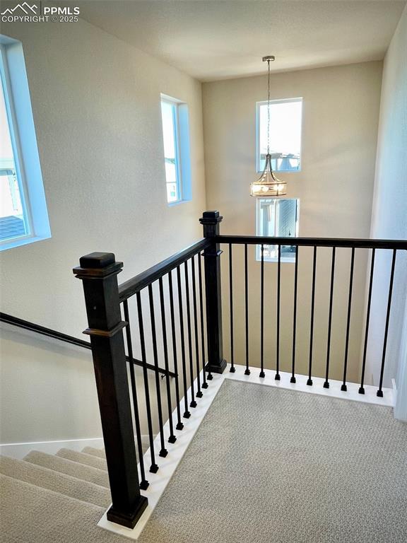 3527 Summer Dream Avenue Colorado Springs, CO 80922 - Photo 19 of 26 a view of hallway with window