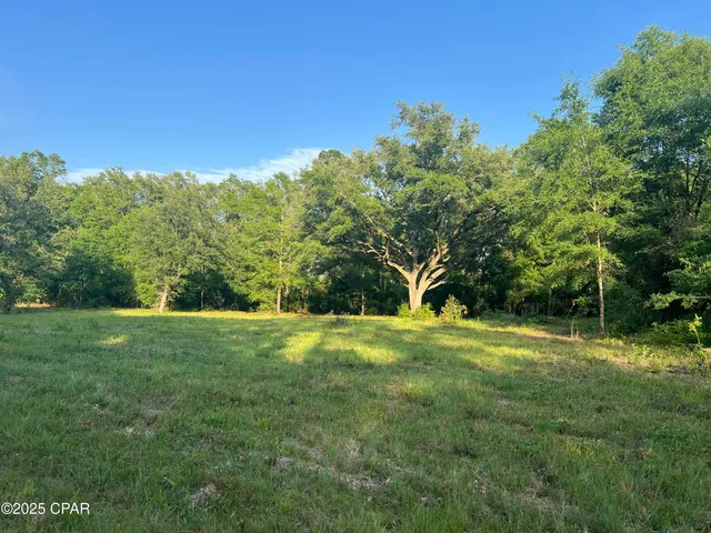 $37,900 | 1750 Turkey Oak Trail, Bonifay, FL 32425