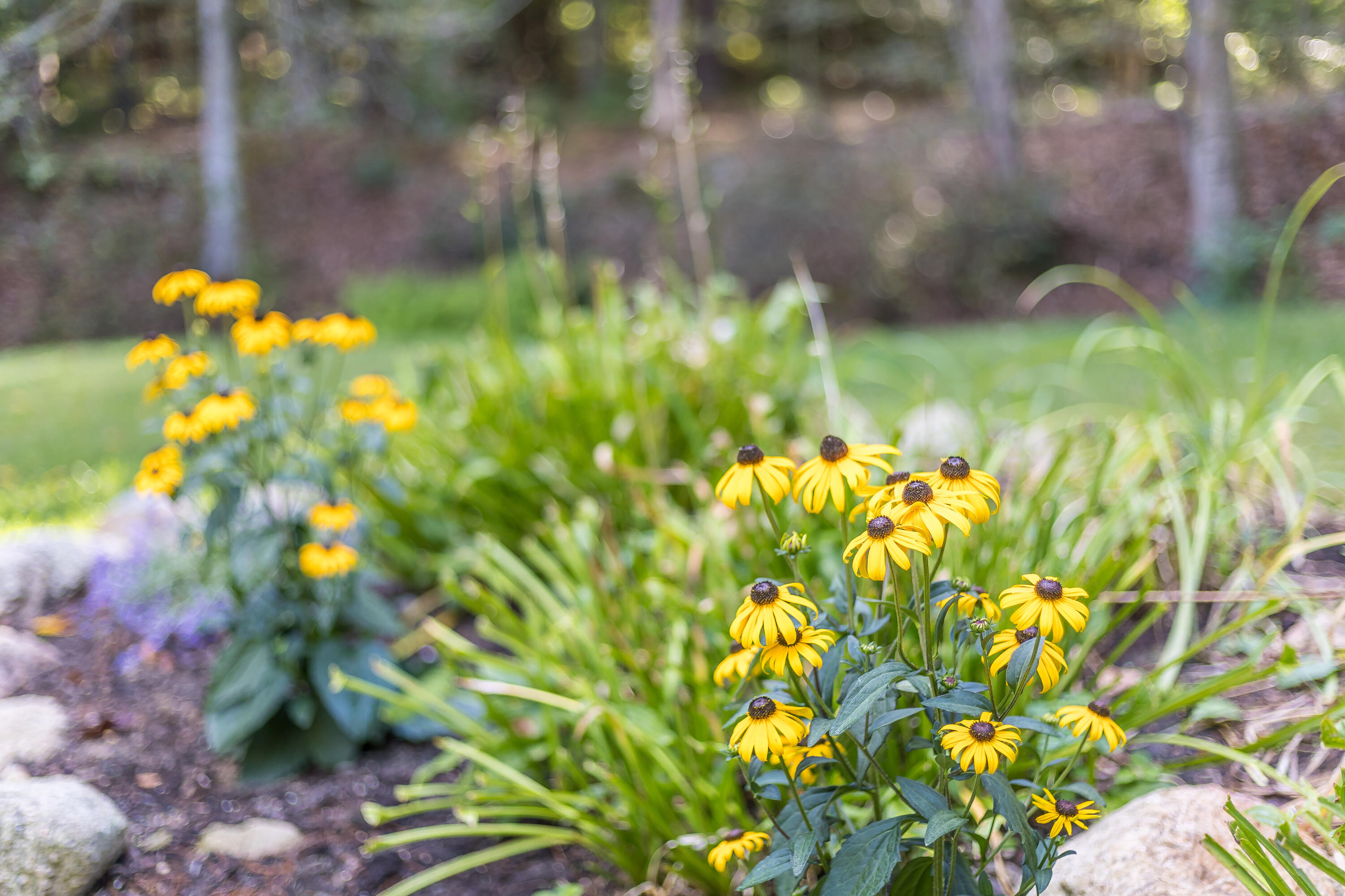 39 A Shawme Road Sandwich, MA 02563 - Photo 34 of 43 040_8p0a2735_564