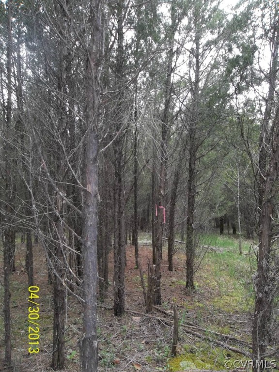 27.01-ac River Road Farmville, VA 23901 - Photo 4 of 10 Gallery Image 4