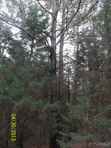 27.01-ac River Road Farmville, VA 23901 - Photo 8 of 10 Gallery Image 8