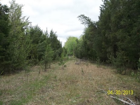 27.01-ac River Road Farmville, VA 23901 - Photo 10 of 10 Gallery Image 10