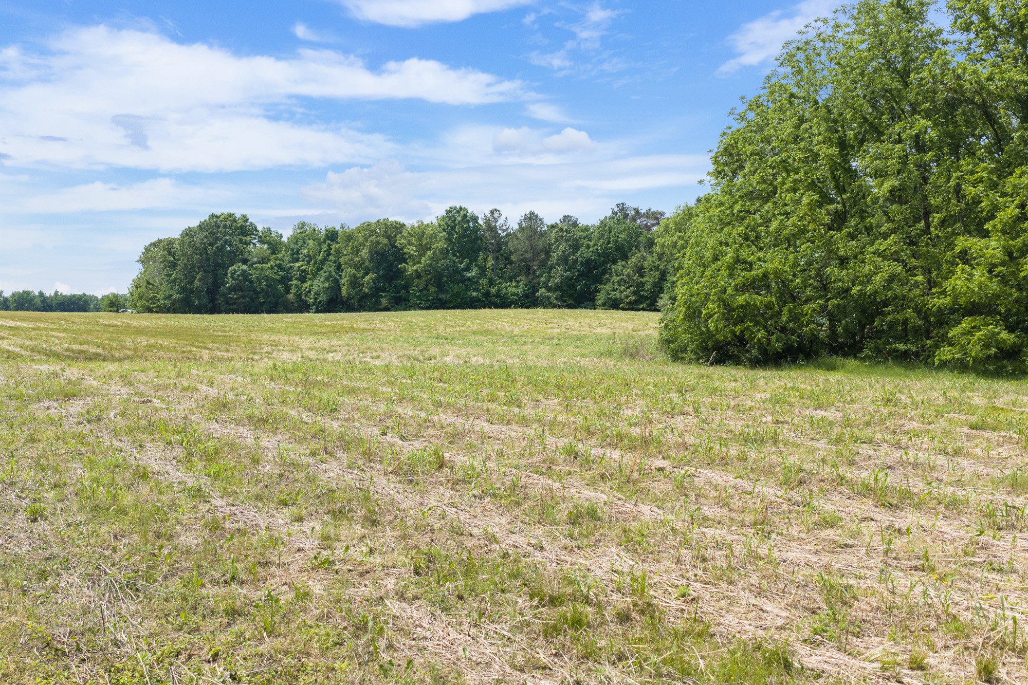 0 Mann Road Hollow Rock, TN 38342 - Photo 5 of 14