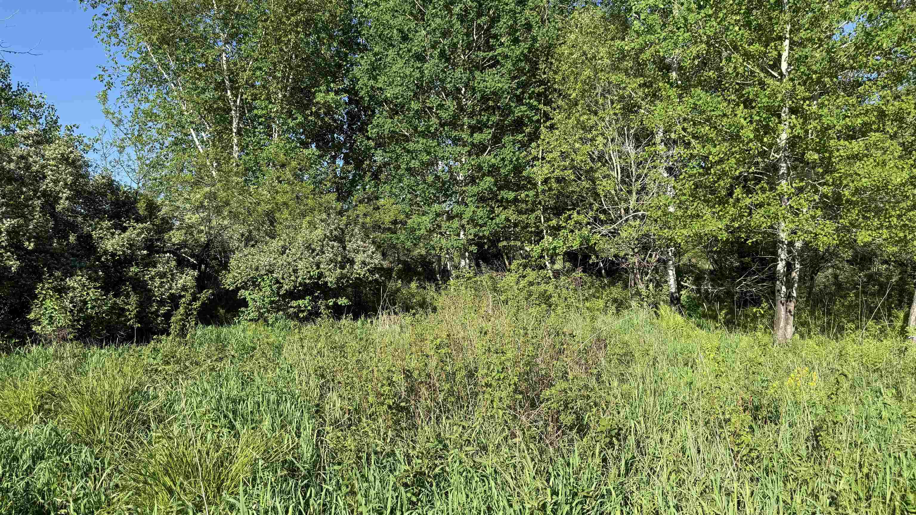 Lot 3 Eau Claire River Road Ringle, WI 54471 - Photo 20 of 28