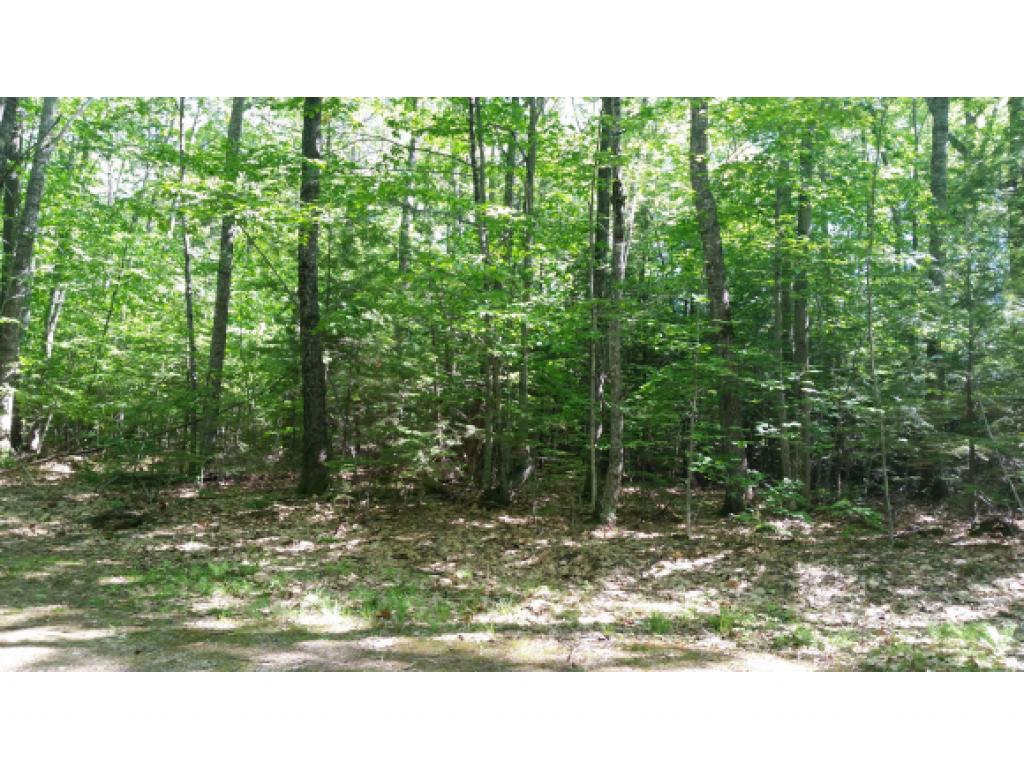 Lot 54 Off Anthon Rd Center Harbor Center Harbor, NH 03226 - Photo 4 of 26 Gallery Image 4