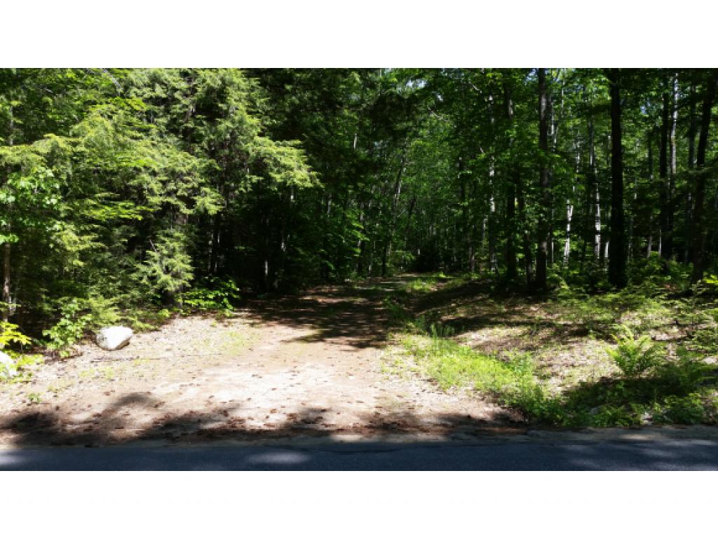 Lot 54 Off Anthon Rd Center Harbor Center Harbor, NH 03226 - Photo 5 of 26 Gallery Image 5