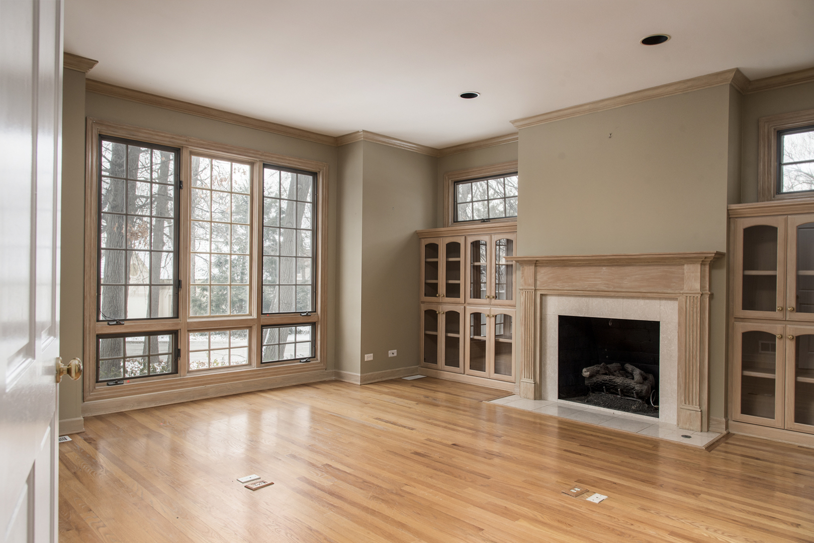 201 Ambriance Drive Burr Ridge, IL 60527 - Photo 20 of 43