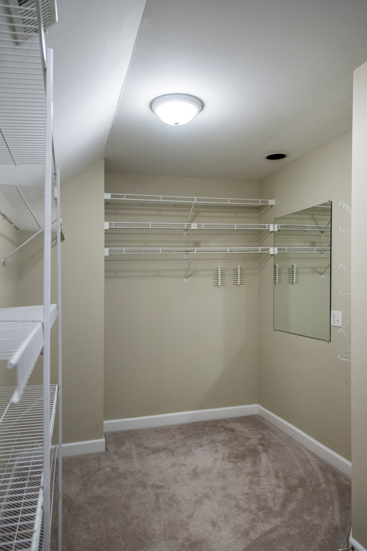 201 Ambriance Drive Burr Ridge, IL 60527 - Photo 28 of 43