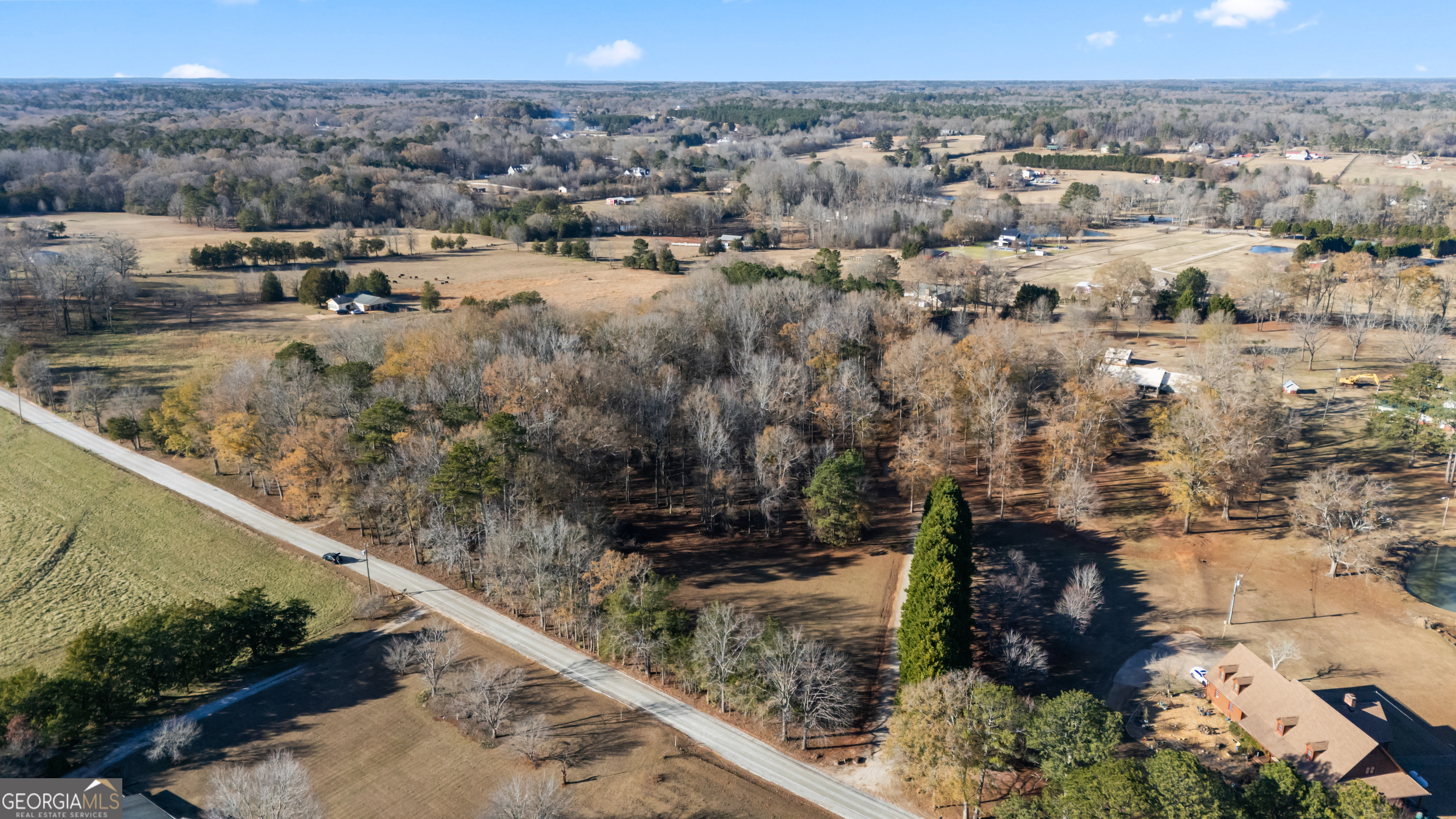 222 Mud Bridge Road Fayetteville, GA 30215 - Photo 4 of 11 a view of a forest with a forest