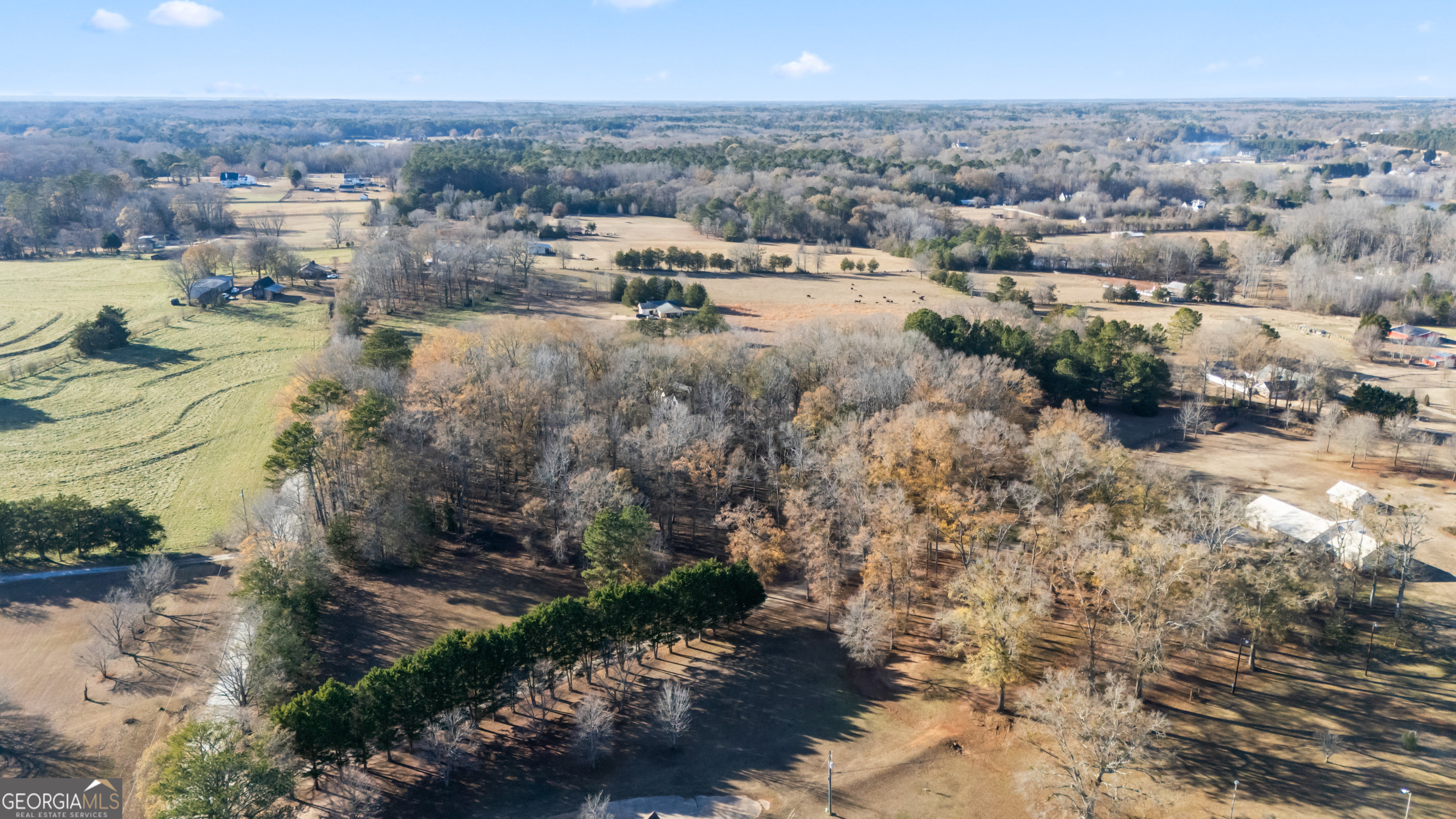 222 Mud Bridge Road Fayetteville, GA 30215 - Photo 10 of 11