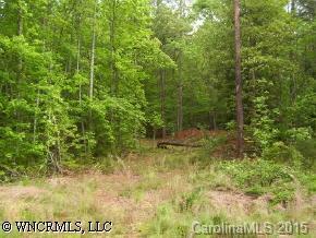 3 South Cove Road Mill Spring, NC 28756 - Photo 1 of 4 a view of outdoor space and a yard