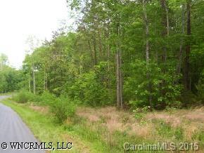 3 South Cove Road Mill Spring, NC 28756 - Photo 2 of 4 a view of a yard