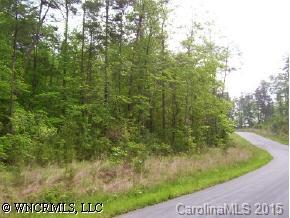 3 South Cove Road Mill Spring, NC 28756 - Photo 3 of 4 a view of a yard