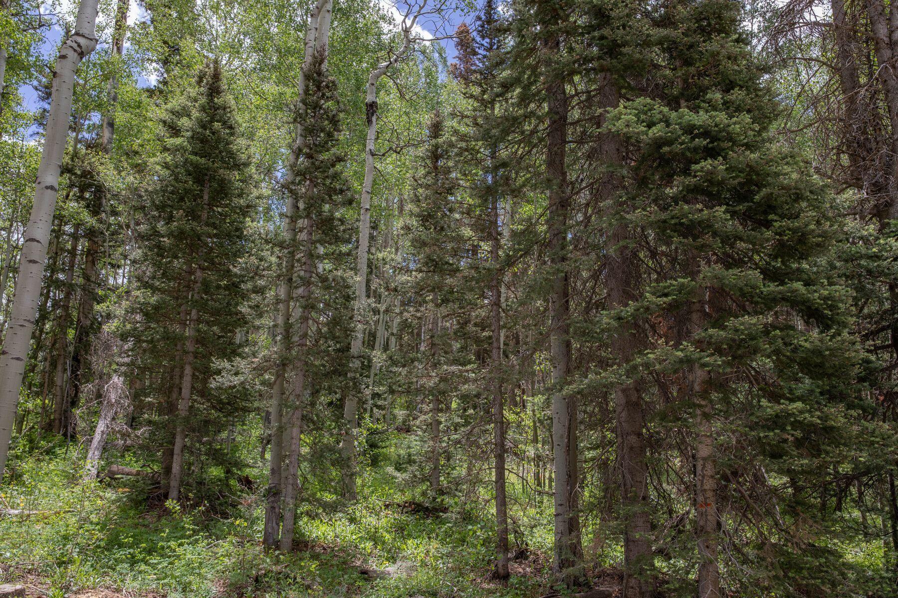 Tbd Fox Farm Road Telluride, CO 81435 - Photo 7 of 11 Fox Farm Lot 59