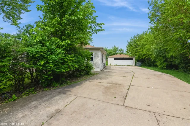 a view of a yard with plants and trees
