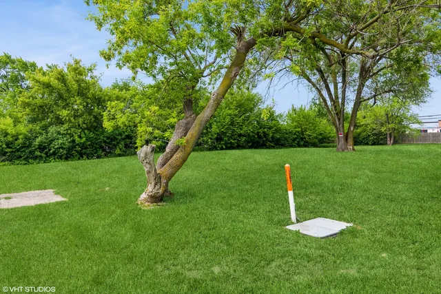 a view of a golf course with a tree