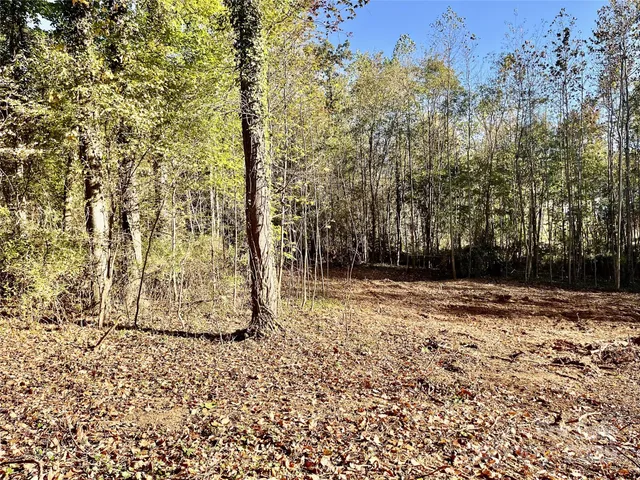 a view of a backyard of a house