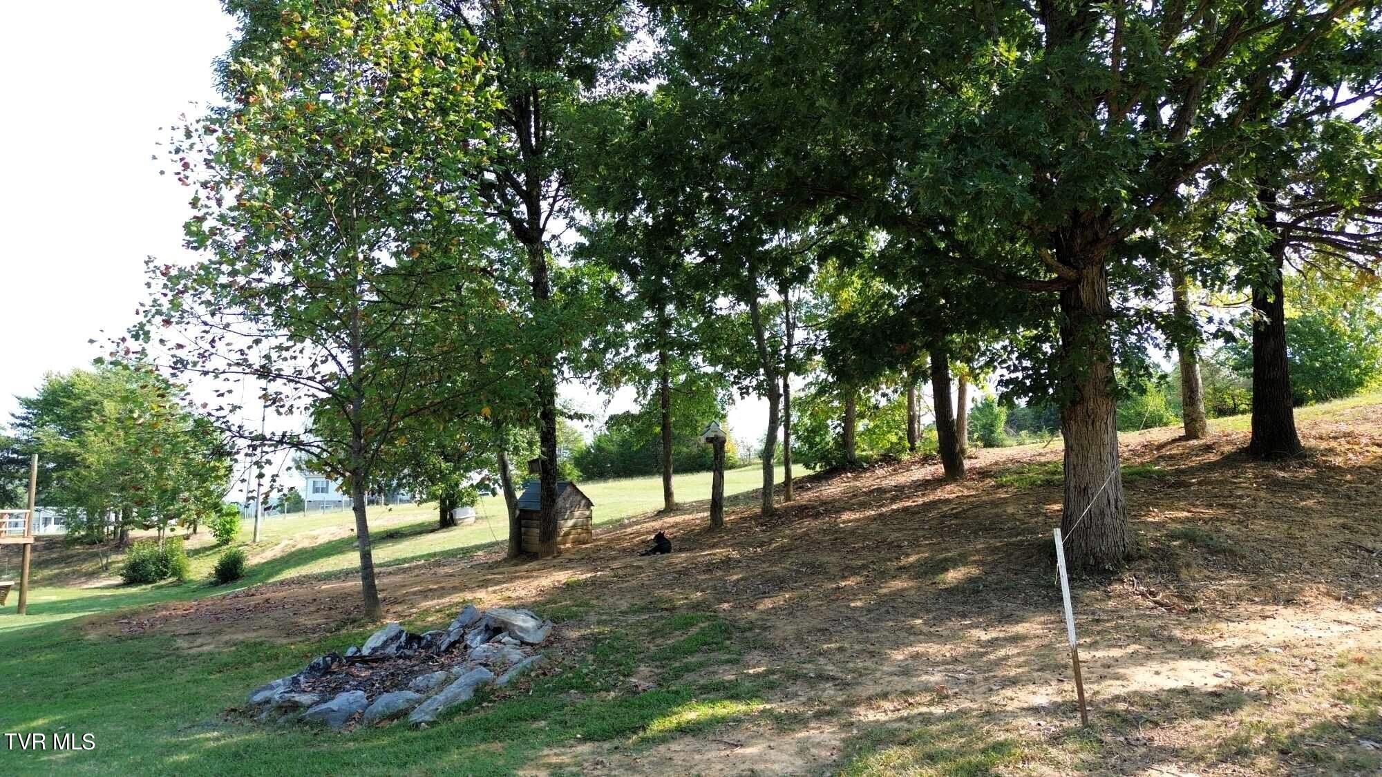 195 Back Creek Road Greeneville, TN 37743 - Photo 16 of 48 195 Back Creek Rd