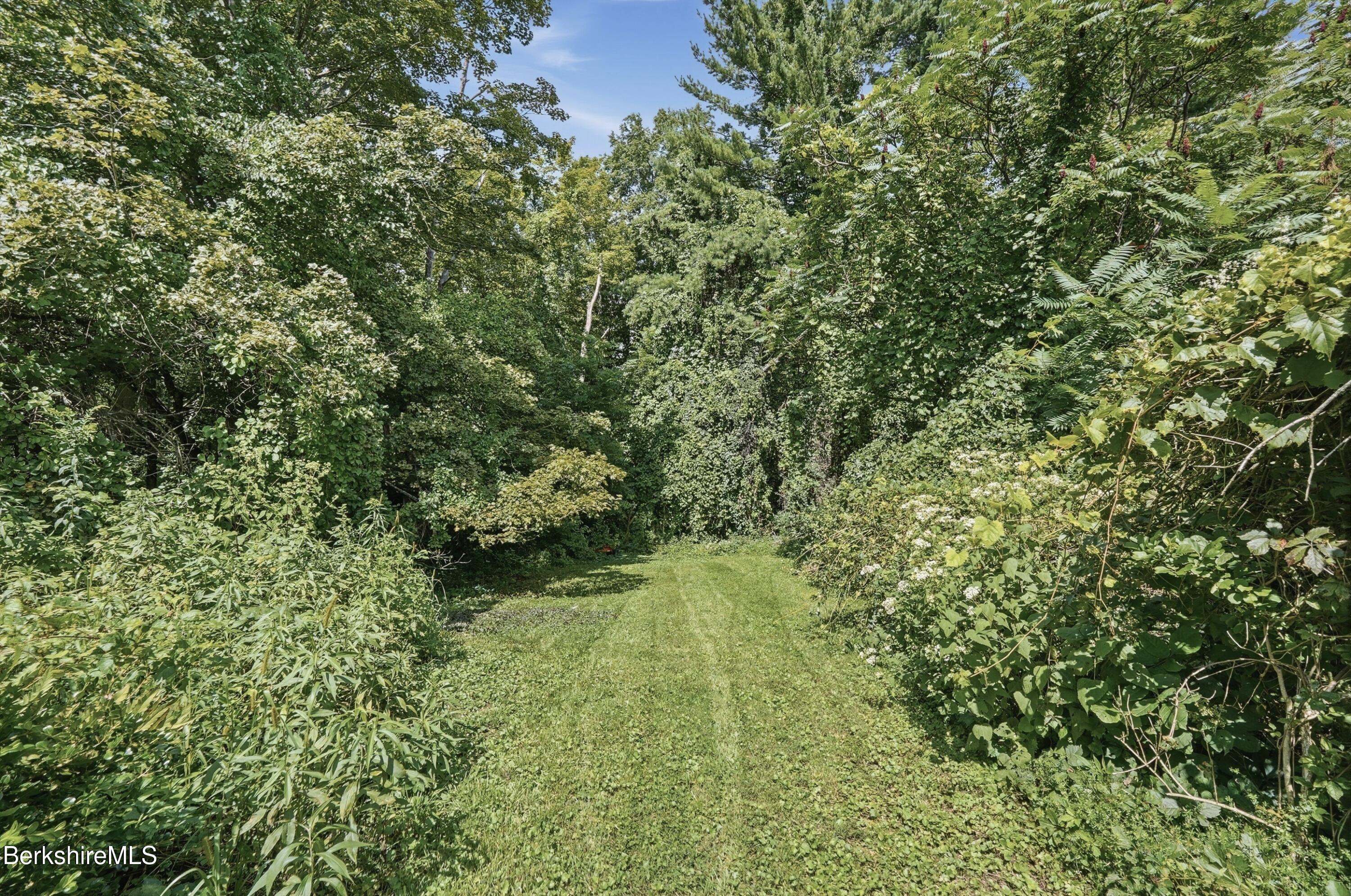 422 Barker Road Pittsfield, MA 01201 - Photo 43 of 44 Backyard