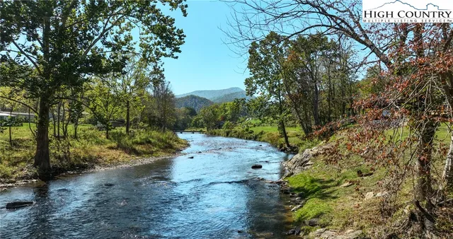 a view of a road with plants and trees