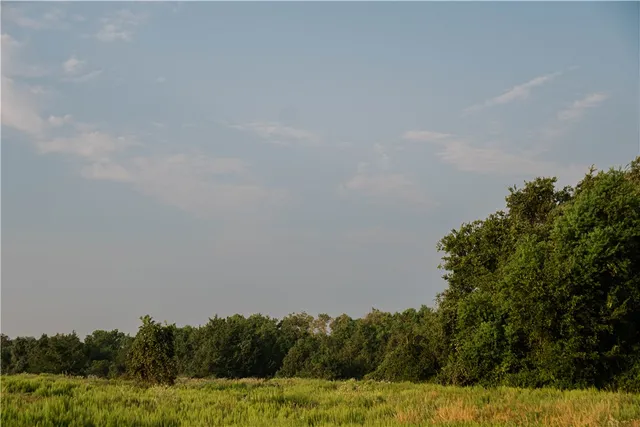 a view of a lake with houses in the background
