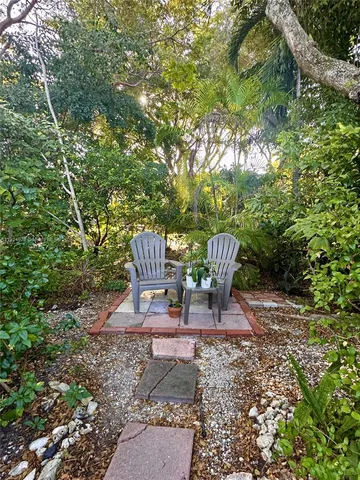 a plant view in yard