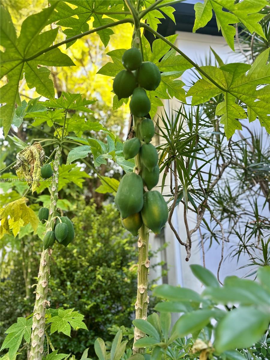 7940 Southwest 55th Avenue, Unit 67D Miami, FL 33143 - Photo 15 of 16