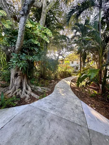 a plant with lots of flowers