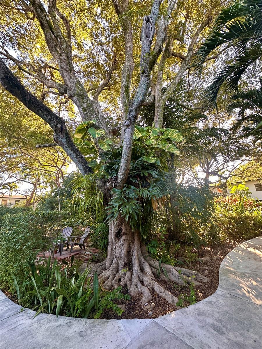 7940 Southwest 55th Avenue, Unit 67D Miami, FL 33143 - Photo 2 of 16