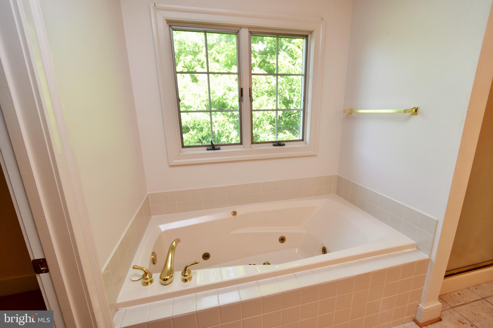 195 Thornton Road Boyce, VA 22620 - Photo 22 of 56 Master Bath Jetted Tub