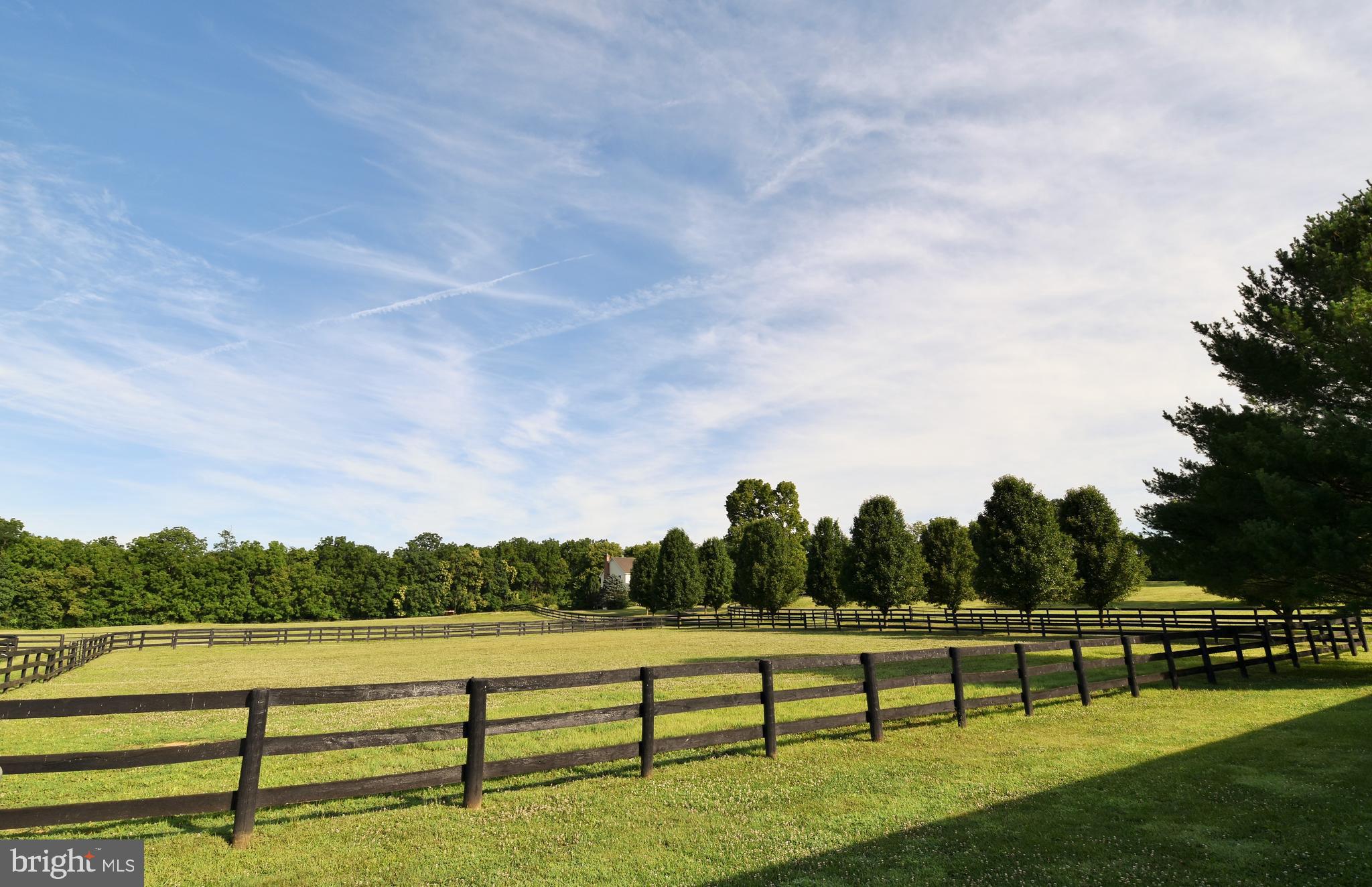 195 Thornton Road Boyce, VA 22620 - Photo 40 of 56 Black Board Pastures