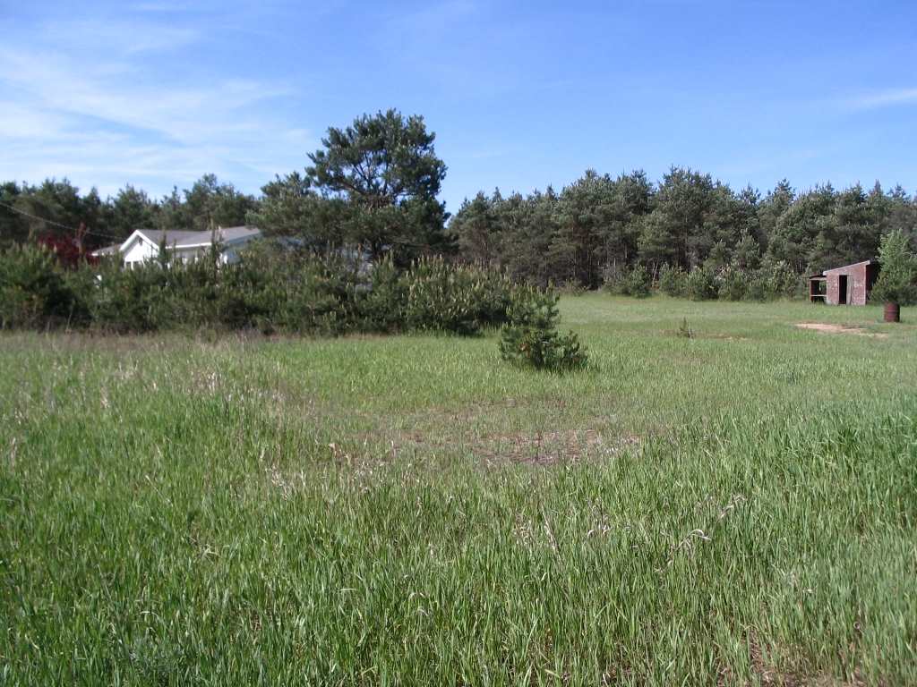 11146 Johnson Road Brethren, MI 49619 - Photo 50 of 60 1800705-49.JPG