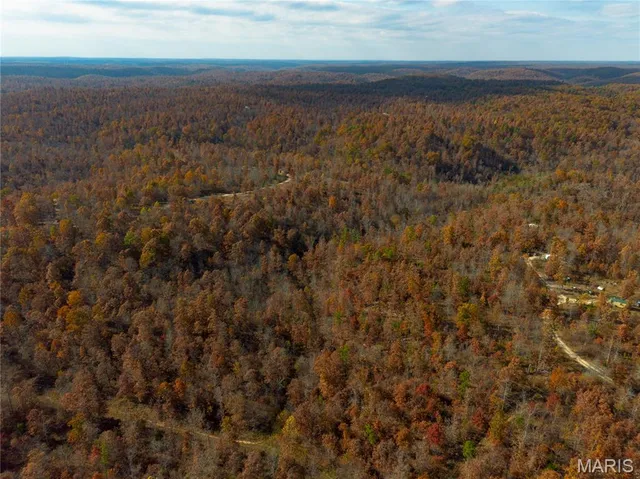 $47,900 | 15682 Winding Trail, Birch Tree, MO 65438