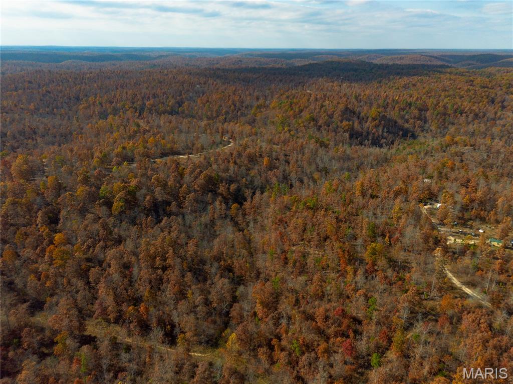 15682 Winding Trail Birch Tree, MO 65438 - Photo 1 of 26