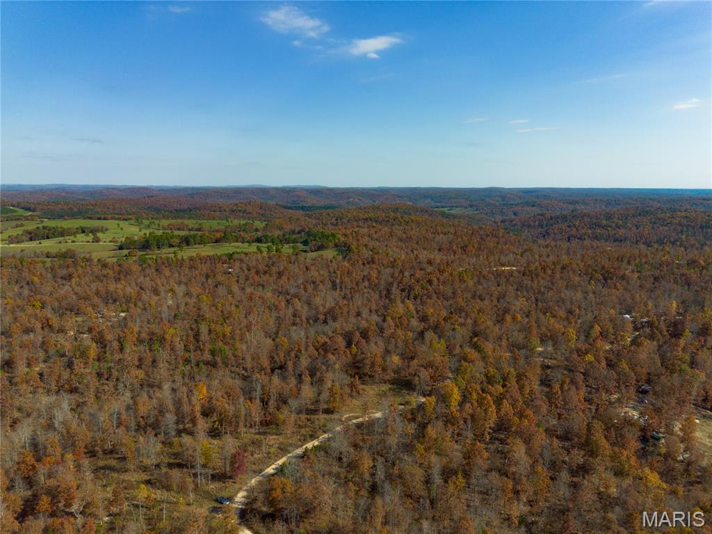 15682 Winding Trail Birch Tree, MO 65438 - Photo 11 of 26